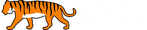Tiger Family Chiropractic